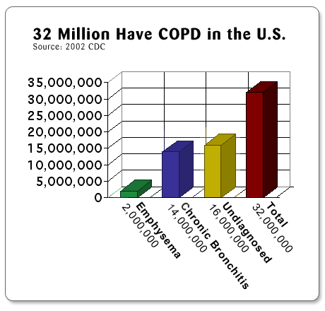 COPD in the USA 2002 Graph